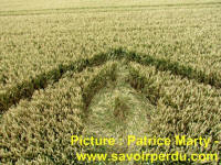 Avebury Stone Circle, Wiltshire crop circle, aerial photo 69